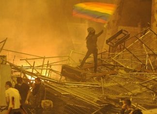 Cinsiyetçi, militarist, baskıcı düzene karşı LGBTT ve kadın elinden yeni bir dönemin habercisi: Gezi Direnişi