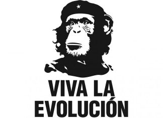 Abiyogenez kuramı ve Miller-Urey deneyi