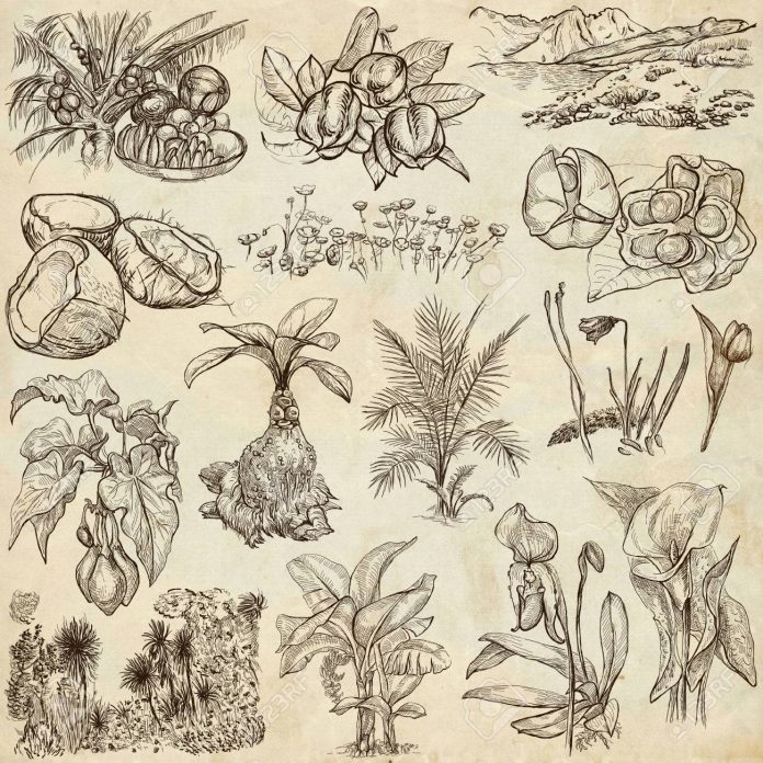 Botanik Bahçesi - Zırhlı Tren