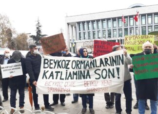 Sermayeye karşı Beykoz’da verilen ekoloji mücadelesi