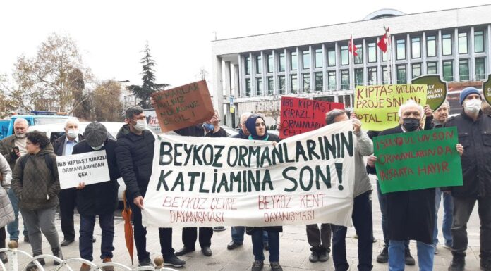 Sermayeye karşı Beykoz’da verilen ekoloji mücadelesi