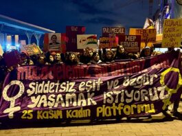 25 Kasım Kadına Şiddetle Mücadele Günü ve Erkek Devletin Engellemeleri