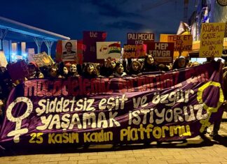 25 Kasım Kadına Şiddetle Mücadele Günü ve Erkek Devletin Engellemeleri