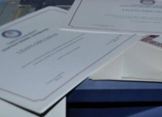 Harika bir girişimcilik örneği: Sahte diploma skandalı
